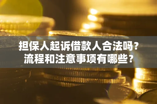 武汉担保人起诉借款人合法吗？流程和注意事项有哪些？