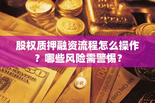 武汉股权质押融资流程怎么操作？哪些风险需警惕？