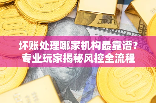 武汉坏账处理哪家机构最靠谱？专业玩家揭秘风控全流程