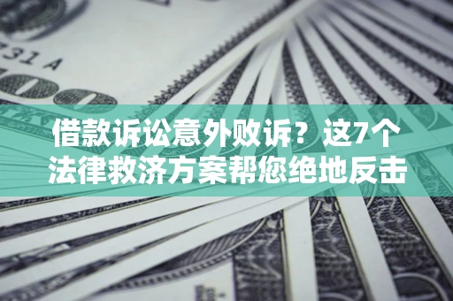 武汉借款诉讼意外败诉？这7个法律救济方案帮您绝地反击！