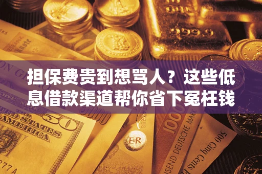 武汉担保费贵到想骂人？这些低息借款渠道帮你省下冤枉钱
