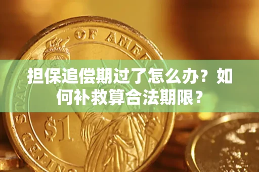 武汉担保追偿期过了怎么办？如何补救算合法期限？