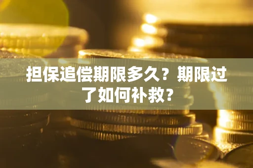 武汉担保追偿期限多久？期限过了如何补救？