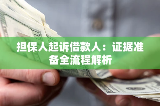 武汉担保人起诉借款人：证据准备全流程解析