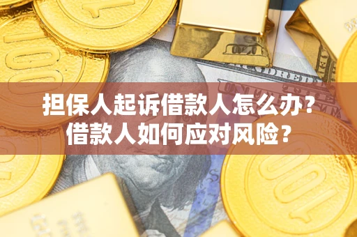 武汉担保人起诉借款人怎么办？借款人如何应对风险？