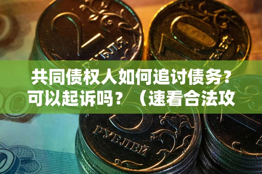 武汉共同债权人如何追讨债务？可以起诉吗？（速看合法攻略）