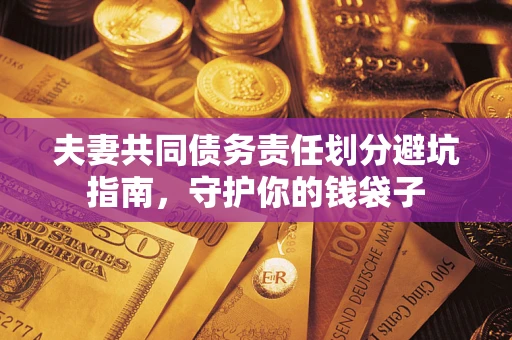 武汉夫妻共同债务责任划分避坑指南，守护你的钱袋子
