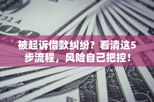 武汉被起诉借款纠纷？看清这5步流程，风险自己把控！