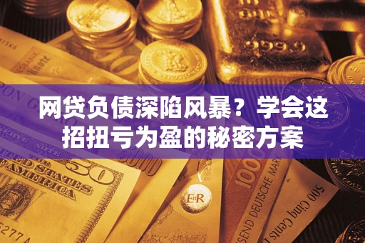 武汉网贷负债深陷风暴？学会这招扭亏为盈的秘密方案